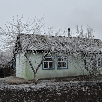 Яблоня. Времена года. Май. Сентябрь. Ноябрь.