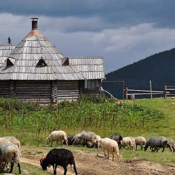 Закарпатье. Июль 2012. Поход. День первый.