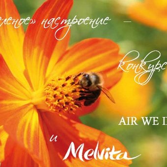 Зеленое настроение от Air We Inspire и Melvita